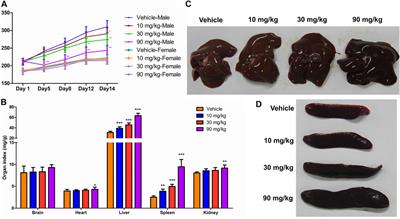 Proteomics unite traditional toxicological assessment methods to evaluate the toxicity of iron oxide nanoparticles